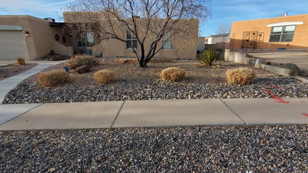 After - Lawn & Grounds Maintenance