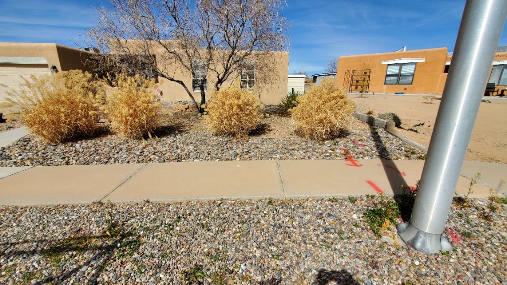 Before - Lawn & Grounds Maintenance